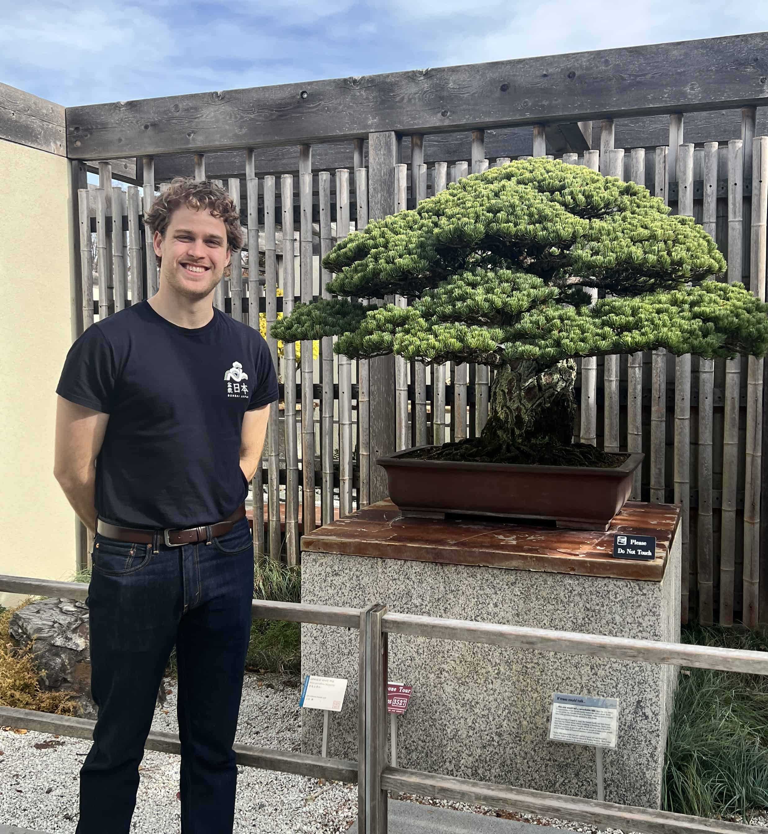 A man appreciating the beauty of a bonsai tree.