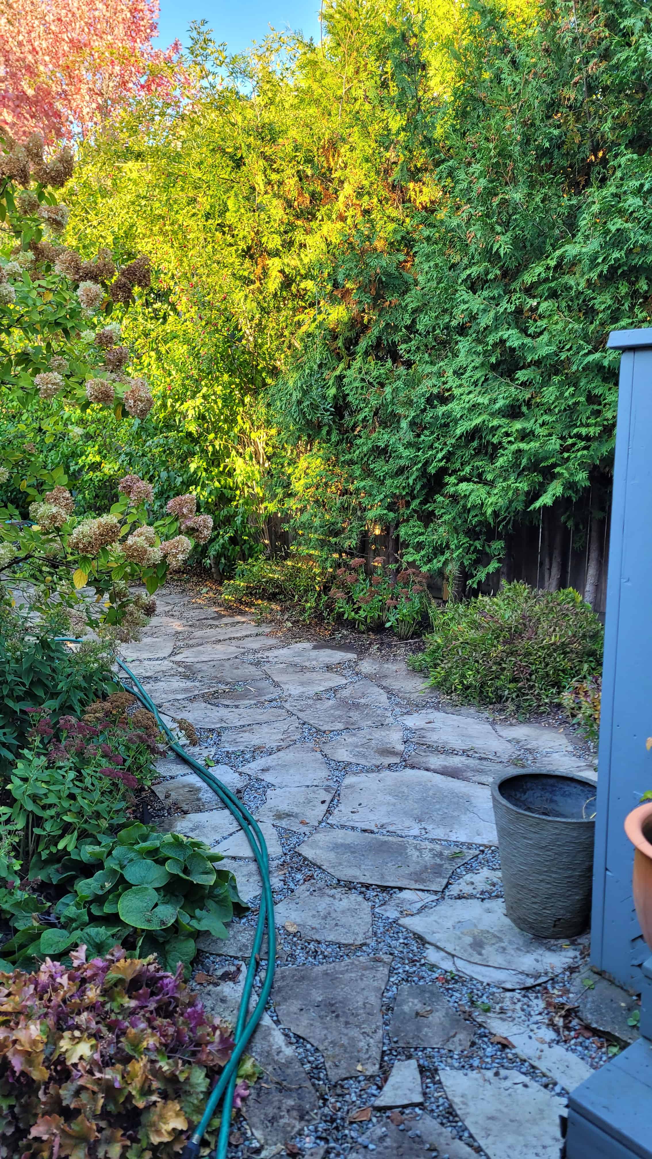 A random flag stone path surrounded by perennial plants, shrubs and trees, that winds to the left.