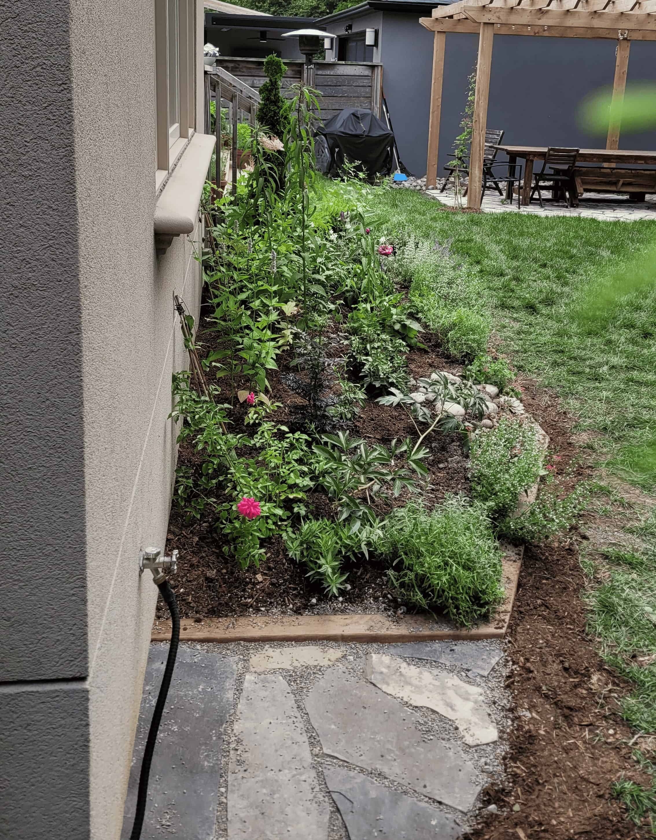 A colorful garden bed filled with a variety of plants and flowers, creating a vibrant and lively scene.