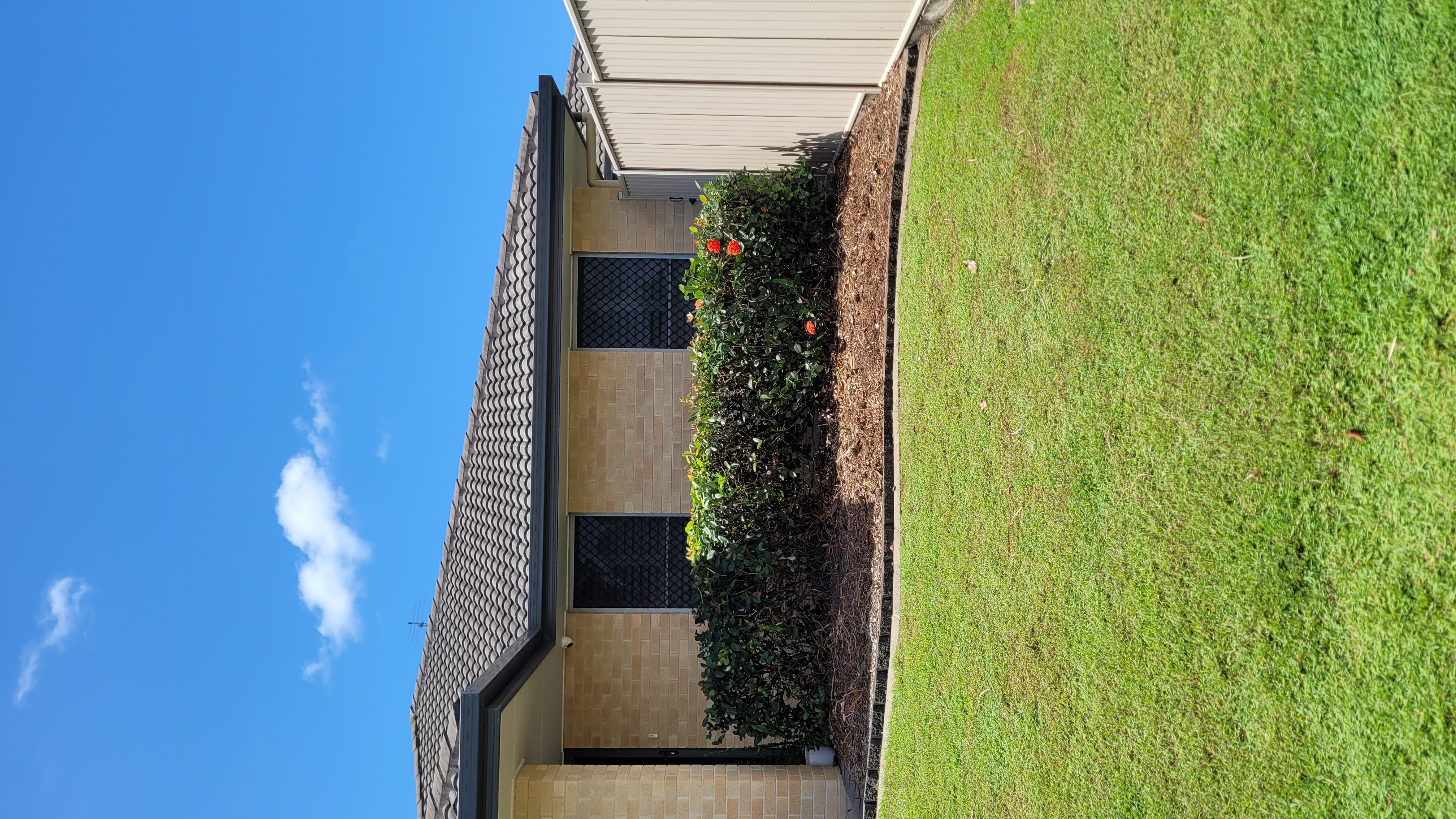 A front yard with trees and shrubs removed, revealing the house and a hedge, creating a more open space.