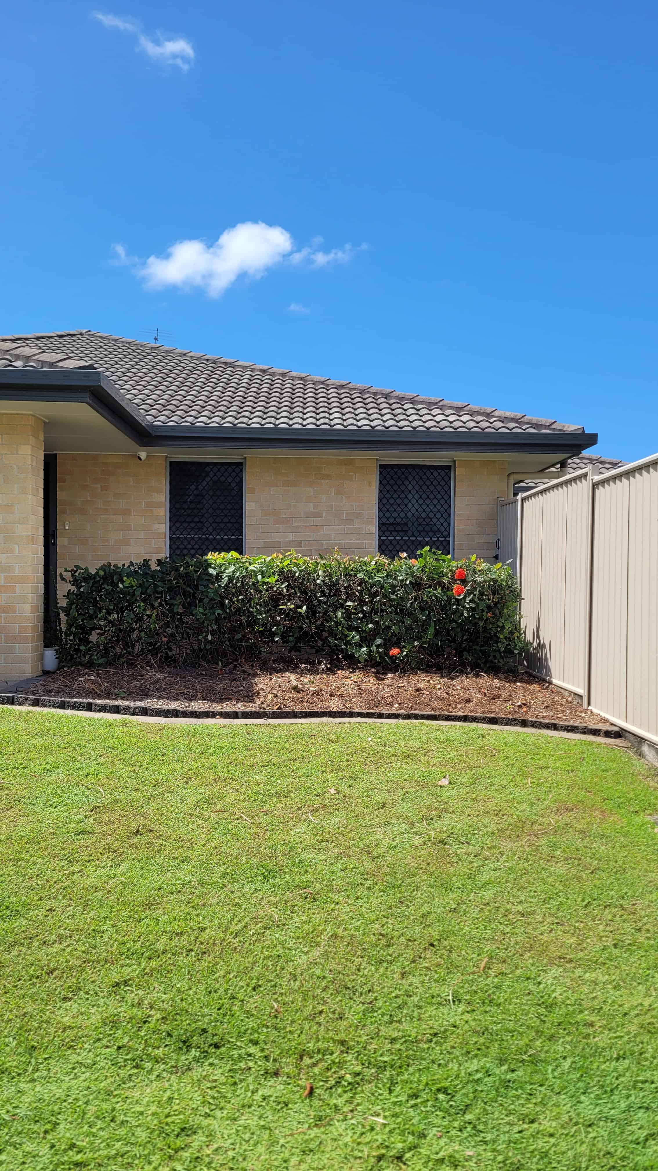 A front yard with trees and shrubs removed, revealing the house and a hedge, creating a more open space.