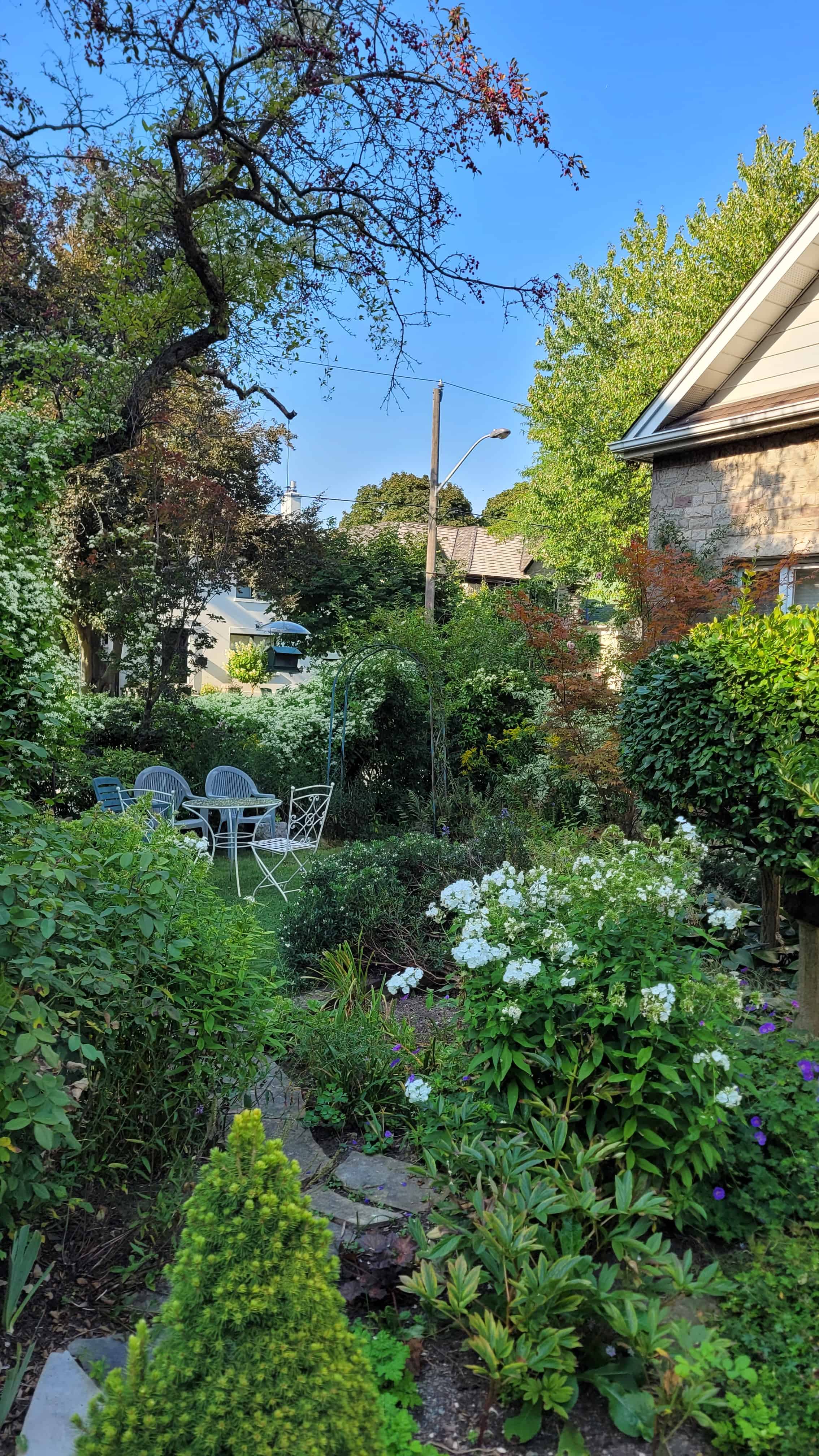 A beautiful yet old  cottage garden with flourishing trees, blooming phlox and celmatis, and a variety of plants.