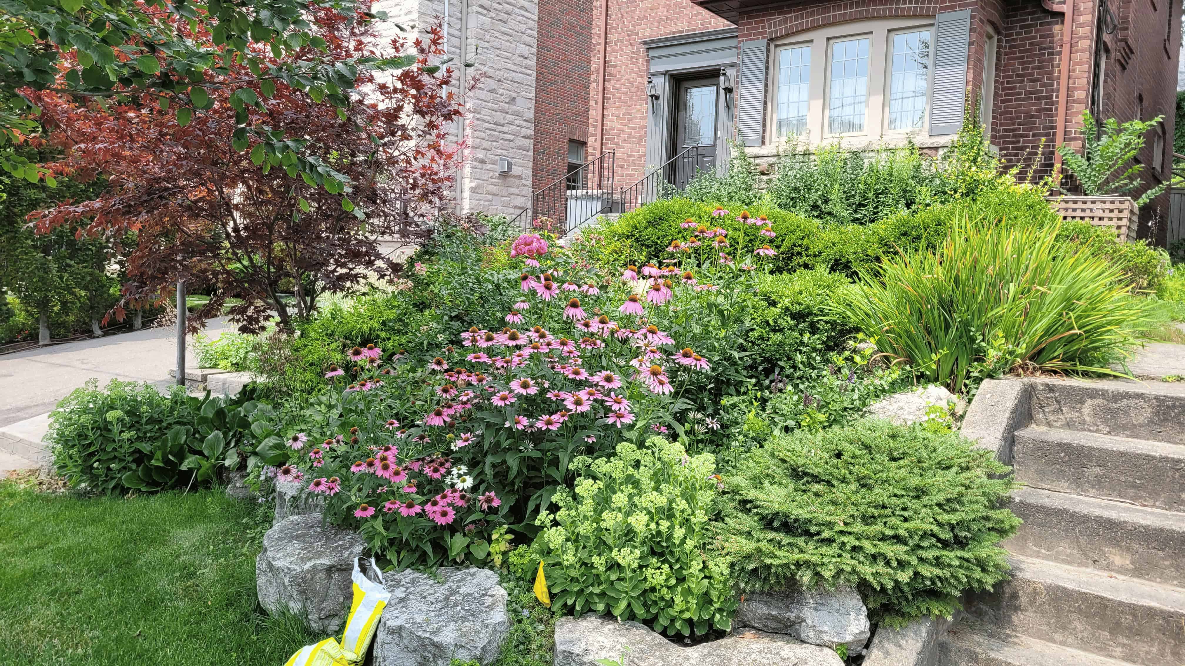 A picturesque rock garden with colorful flowers and rocks adorning the front of a charming house.