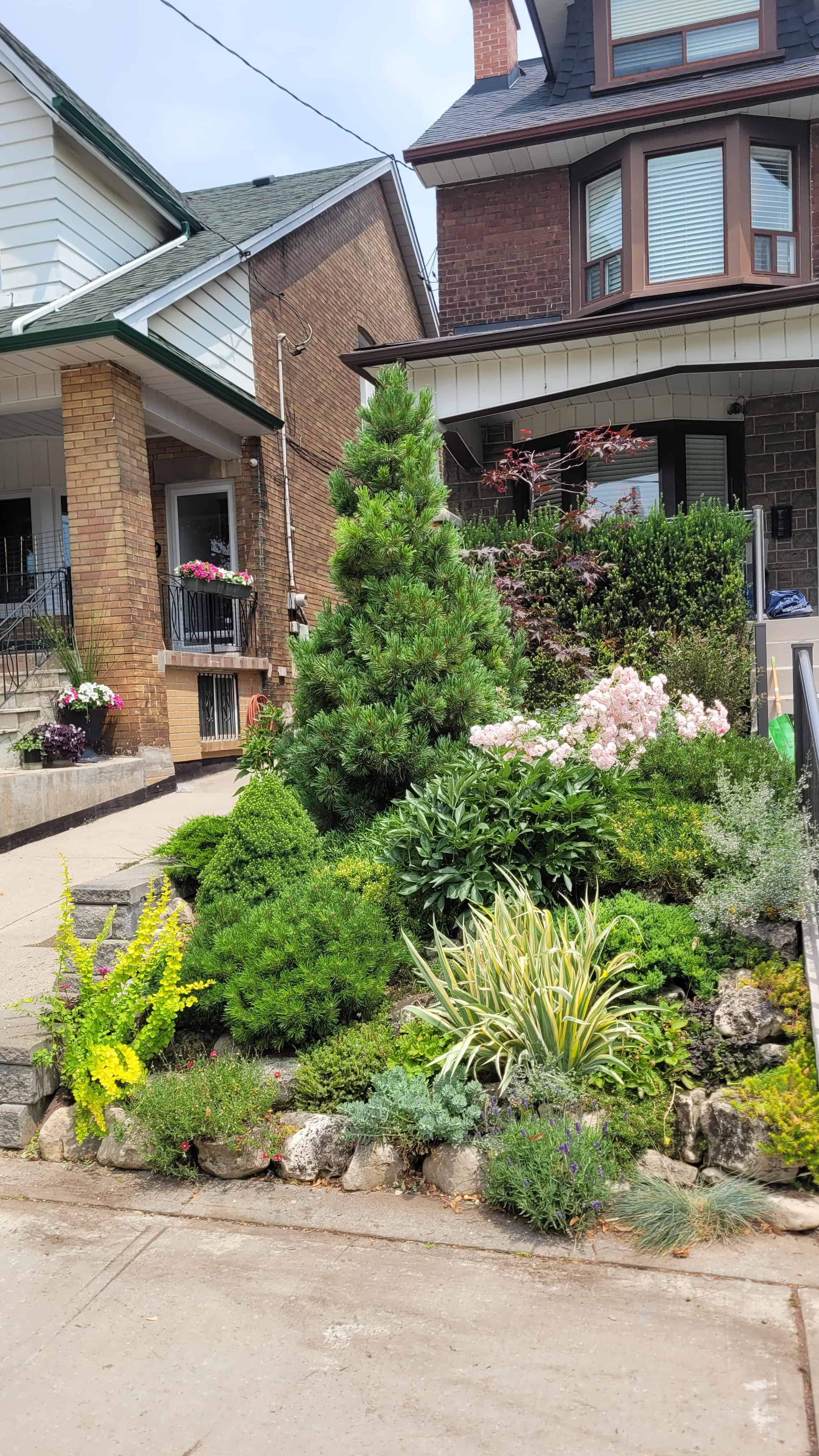 A charming front garden with shrubs and trees adorning a small house.