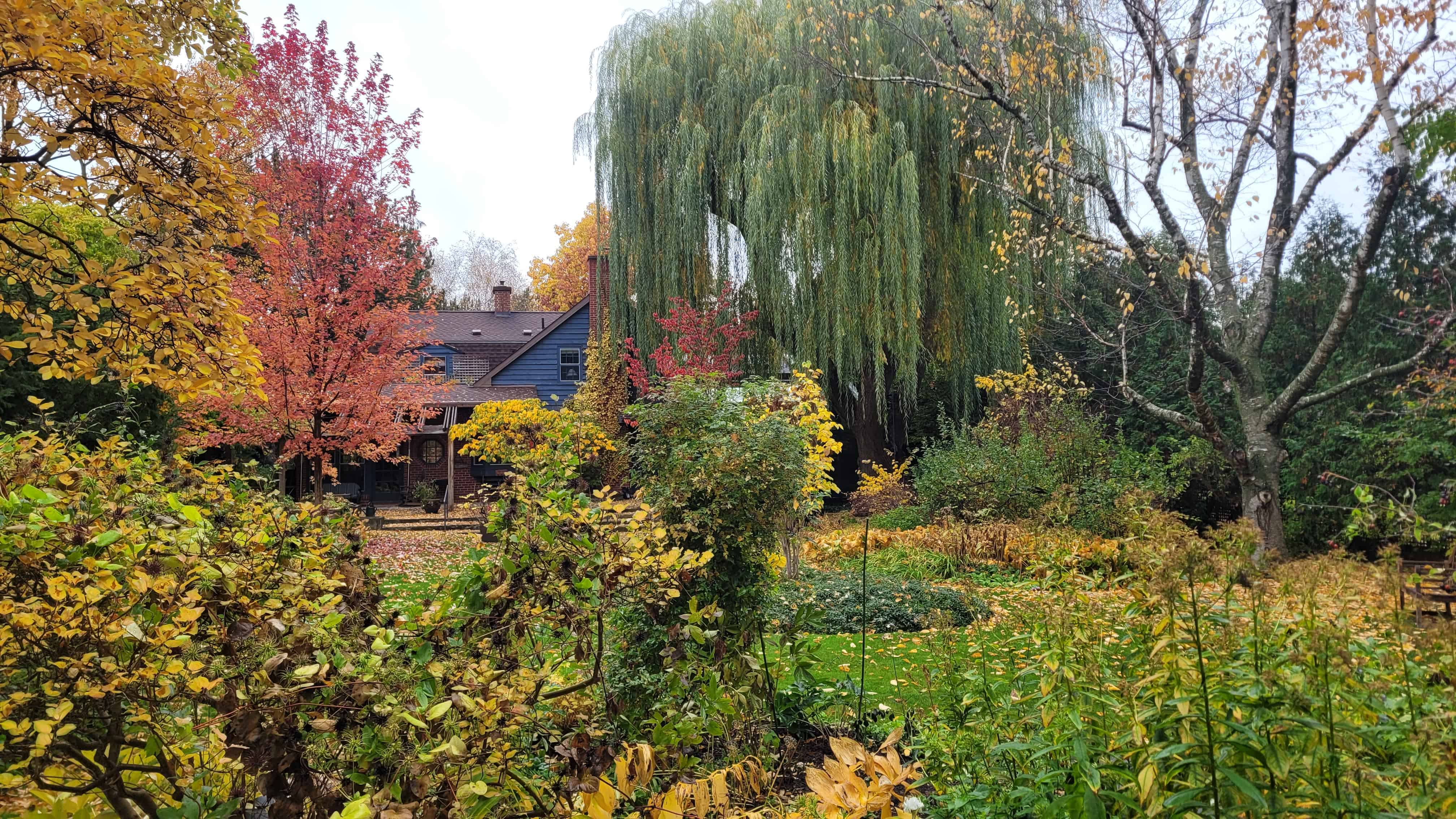 A charming home embraced by colorful autumn trees and shrubs.