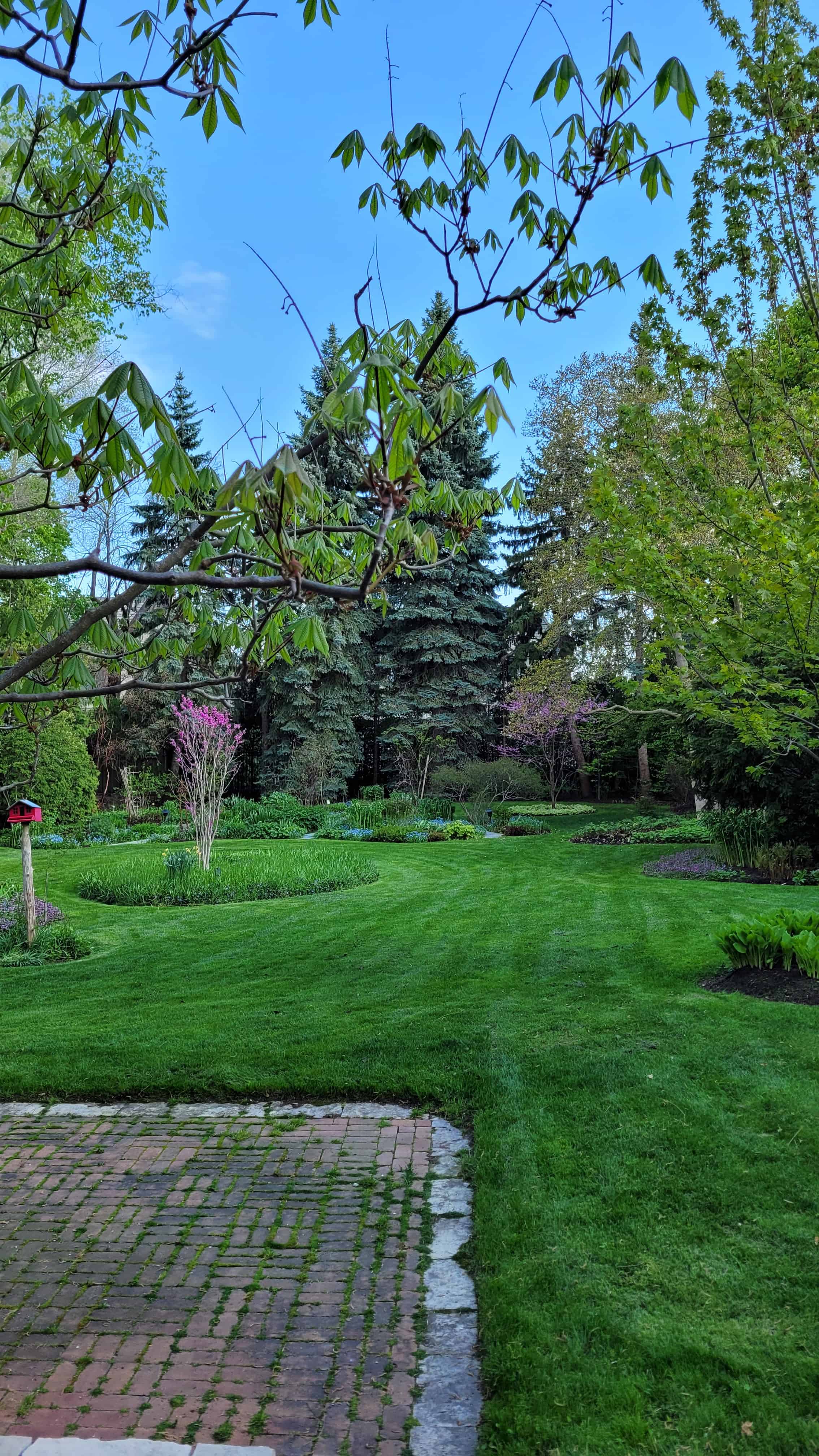 A brick patio leading to a frehly mowed lawn with trees and shrubs.