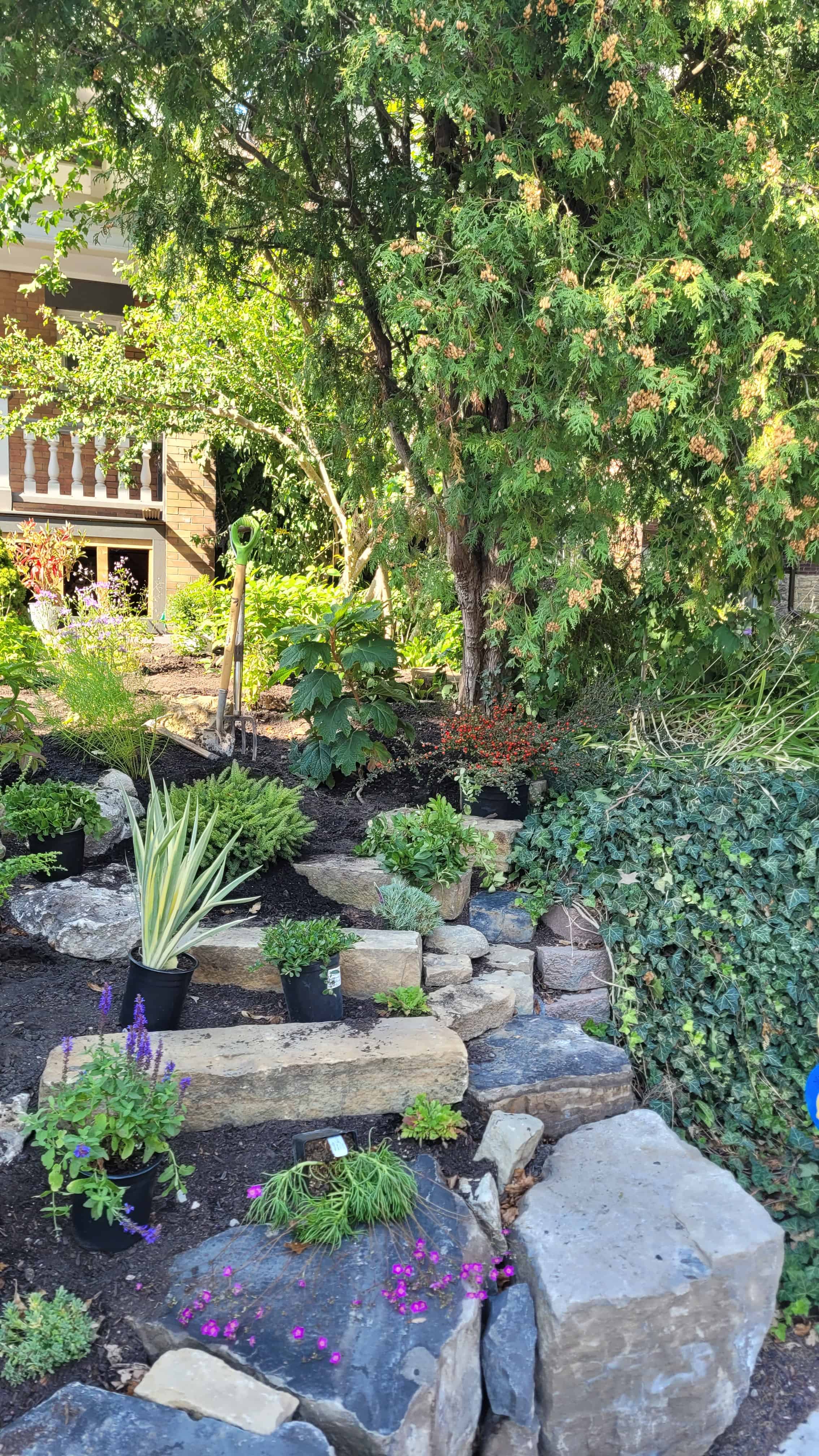 A serene frontyard garden adorned with rocks and lush plants ready for planting.