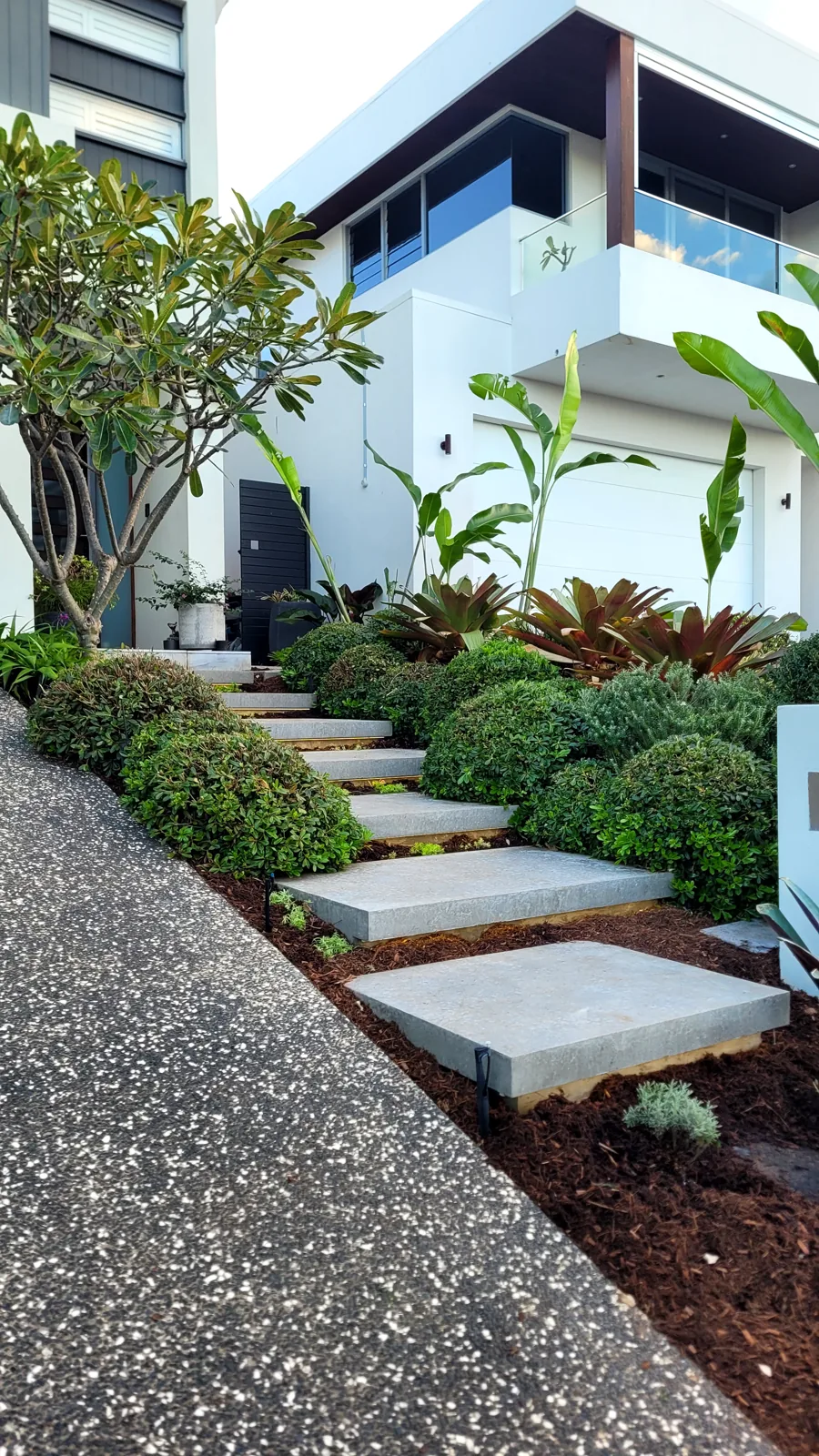 Carefully pruned rounded shrubs beside stone steps and mulched garden beds.